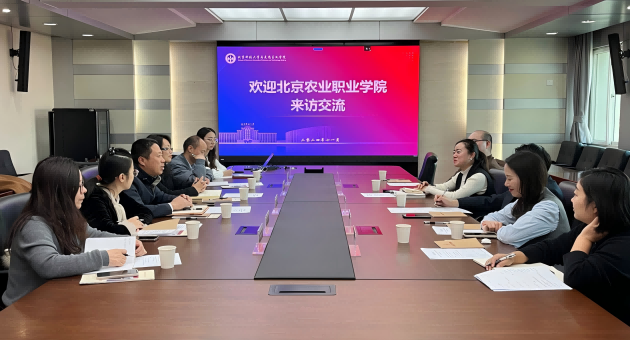 1732954717836880.png 1(1).png