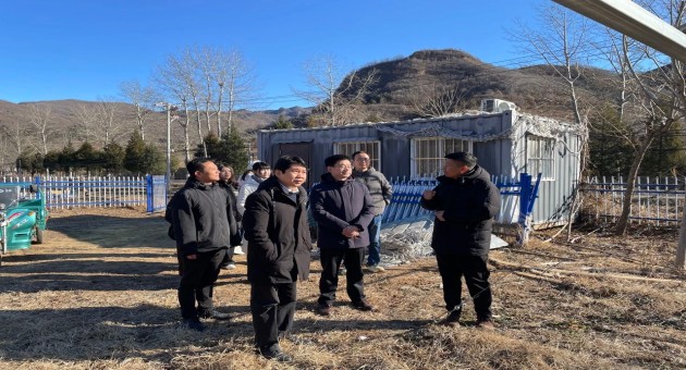 1734082910712066.jpg 7.jpg