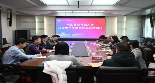 1735277647590289.jpg 1.jpg